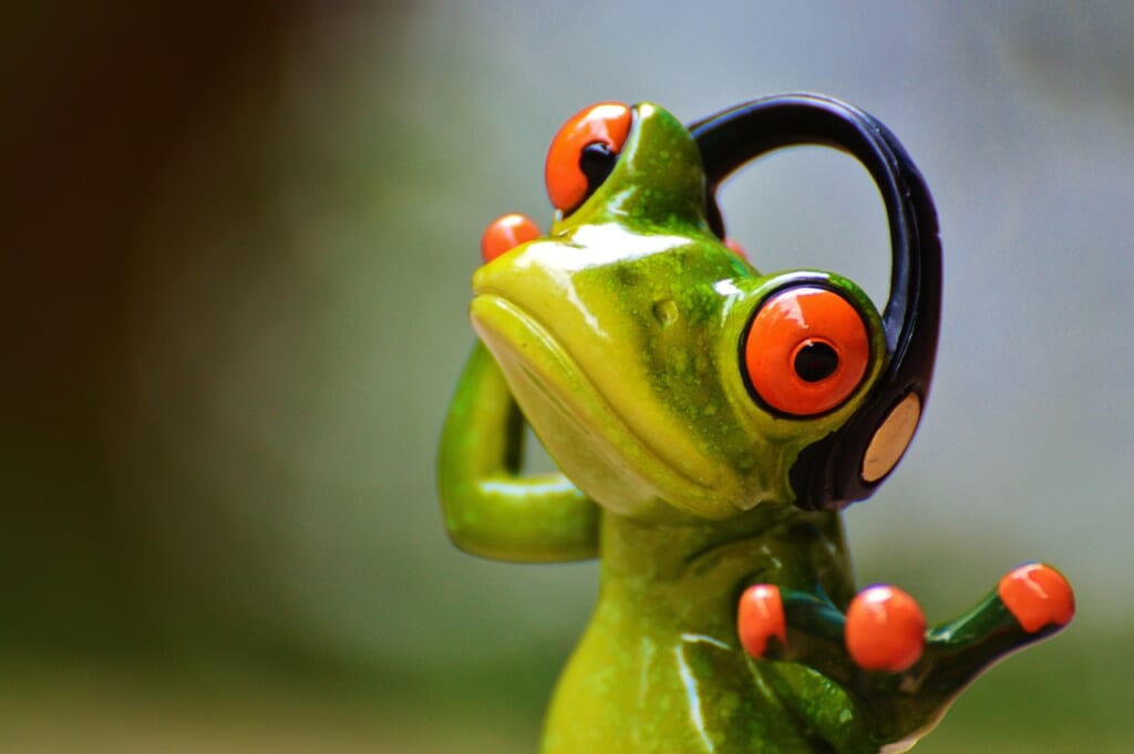 frogs, nature, headphones