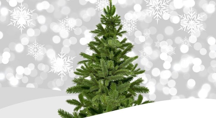 卓上にも置ける小型でかわいいミニクリスマスツリー9選 シンプルコンパクトな木製ミニツリーも