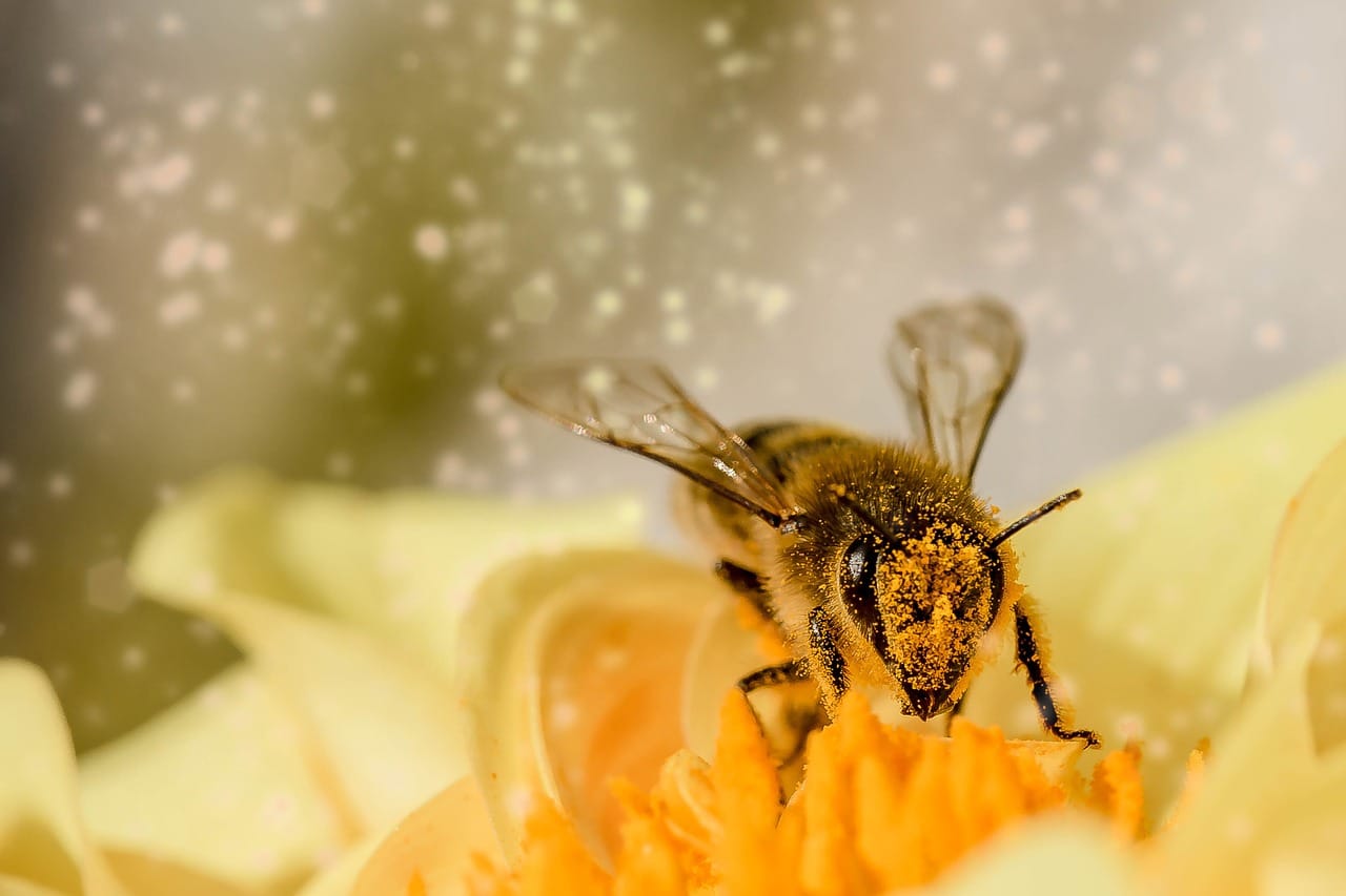 花粉症対策におすすめの空気清浄機15選と効果的な置き場所 人気メーカーの特徴と効果