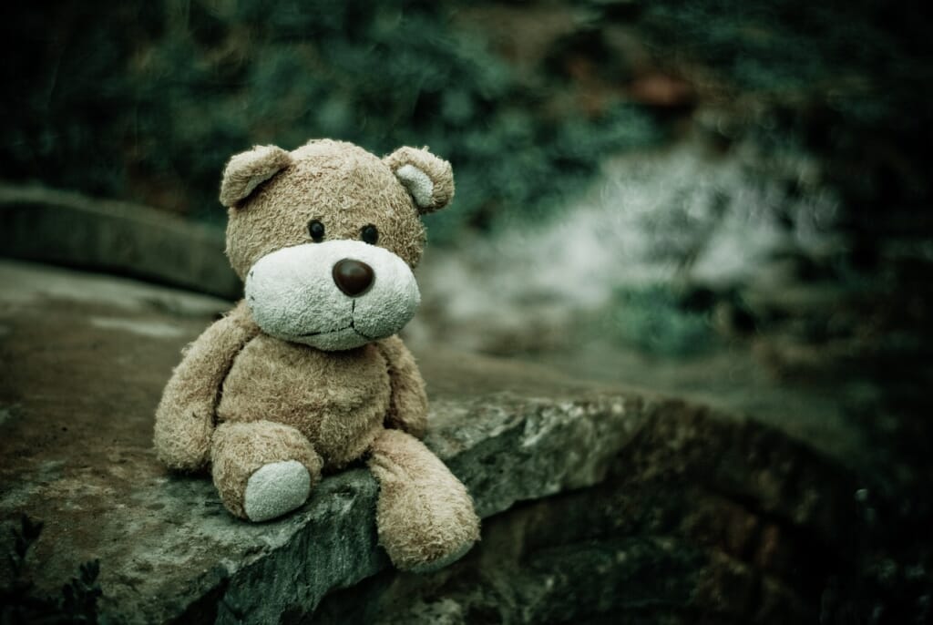 teddy bear, toy, plush