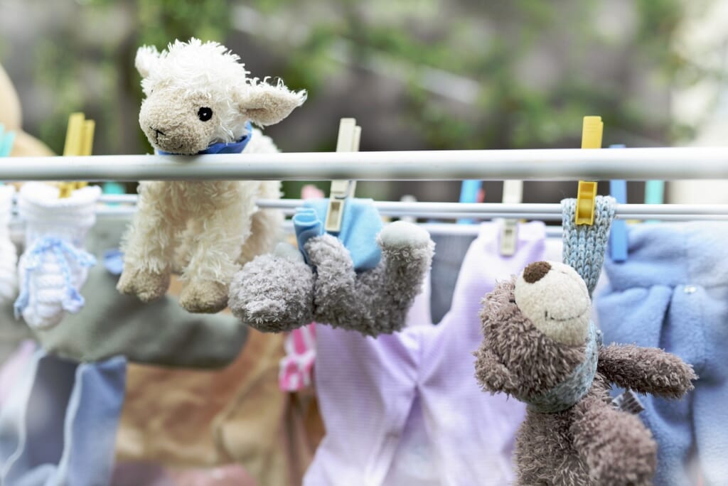 clothes line, sheep, teddy bear