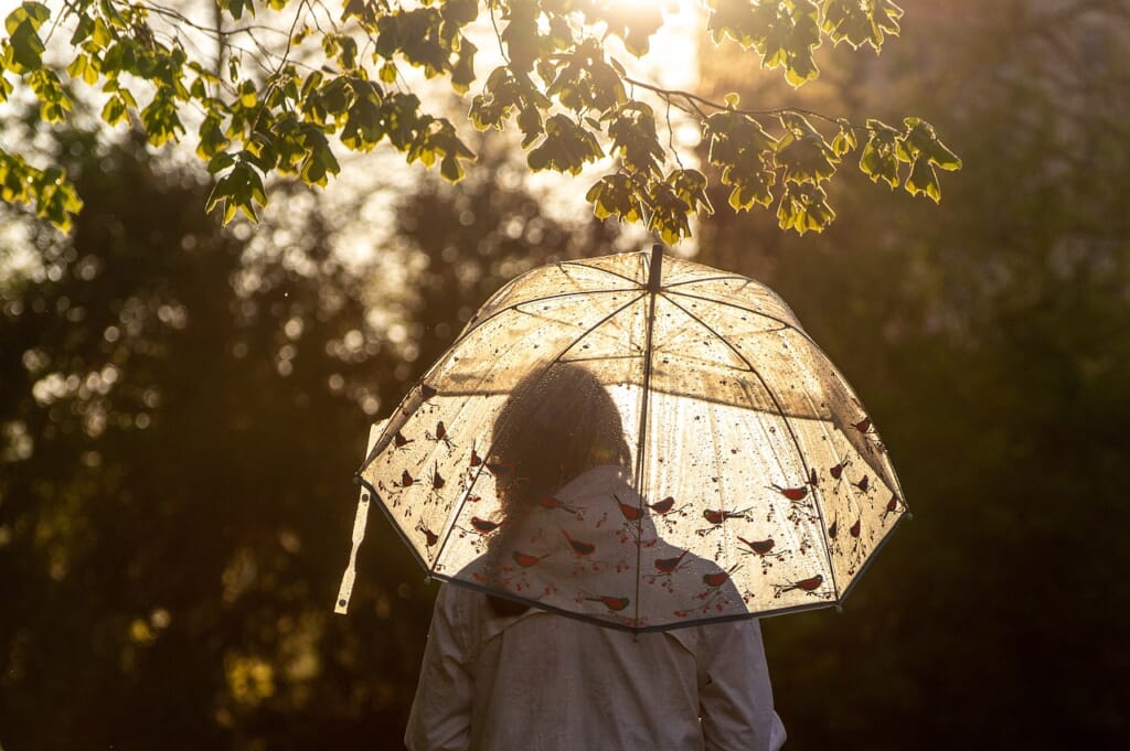 umbrella, sunlight, woman