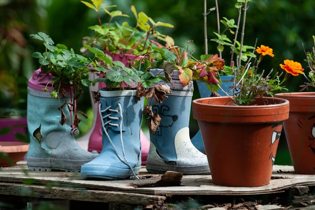 garden, potted plants, boot planters