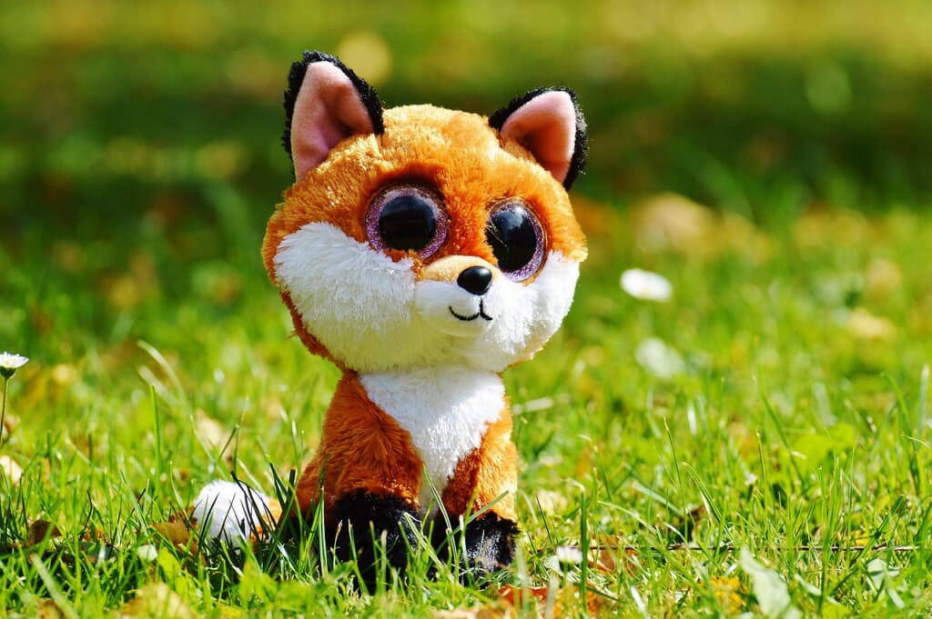 fox, animal, nature