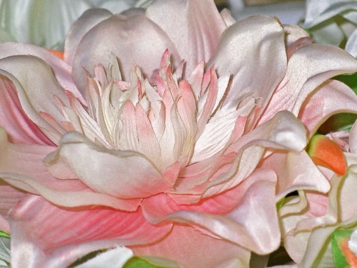 ホワイトインテリアにもおすすめウォールフラワー8選 大人可愛いフランフラン Francfranc のおしゃれな造花