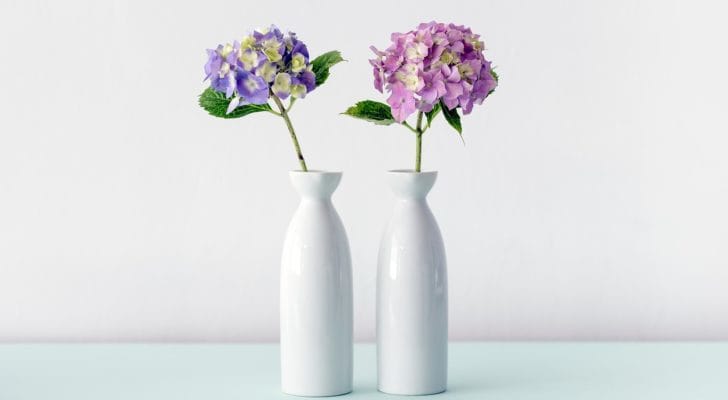 おしゃれな陶器製の一輪挿しおすすめ12選 花が映えるかわいい花瓶 人気の信楽焼や九谷焼の花器も紹介