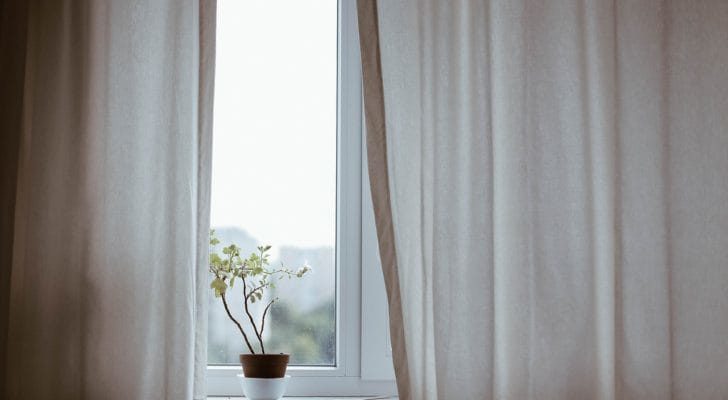 半分開いたカーテンの隙間に観葉植物がある写真