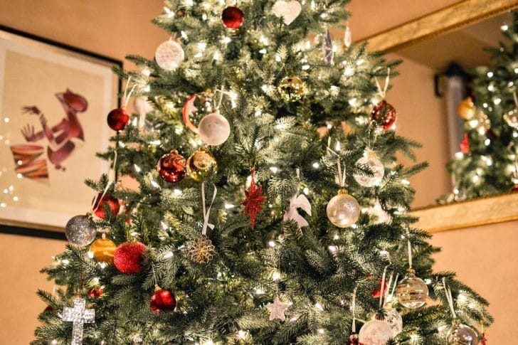 クリスマスツリーの写真