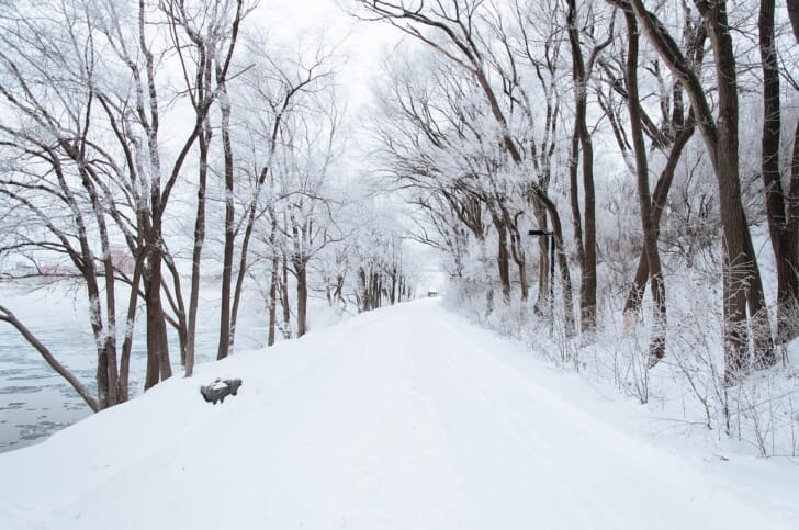 雪の積もった山道の写真